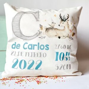 Cojin datos de nacimiento personalizado