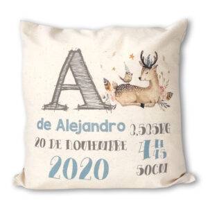 Cojines Personalizados Bebé