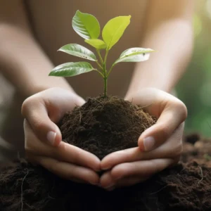 Regalos ecosostenibles