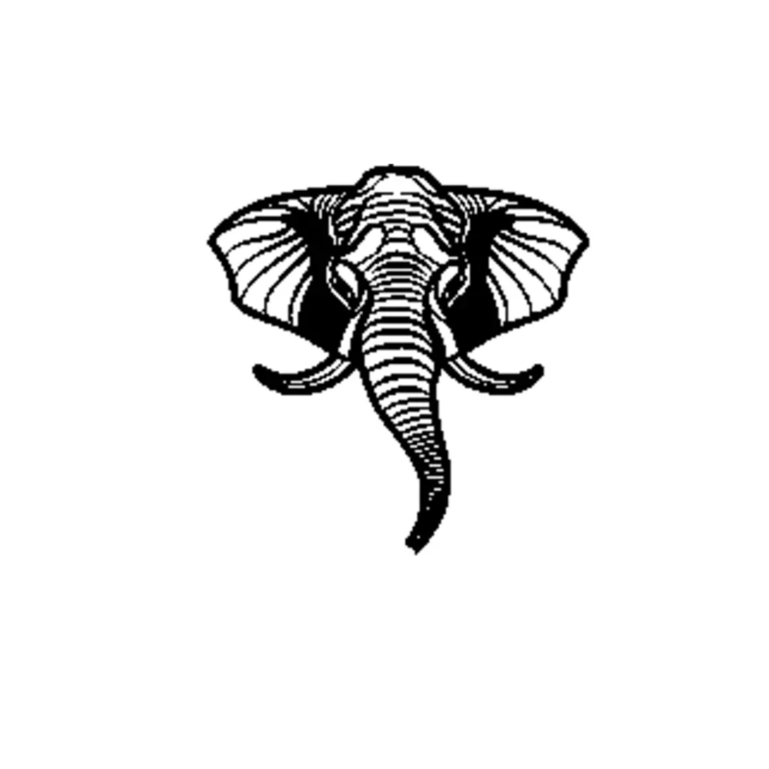 Elefante