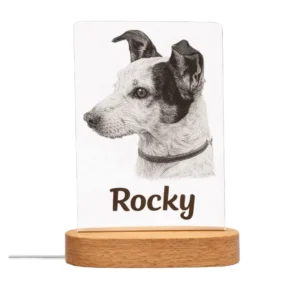 Lámpara mascota personalizada con foto y nombre